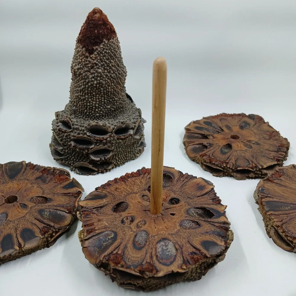 COASTERS Banksia‎ Pod Set of 6 Brown